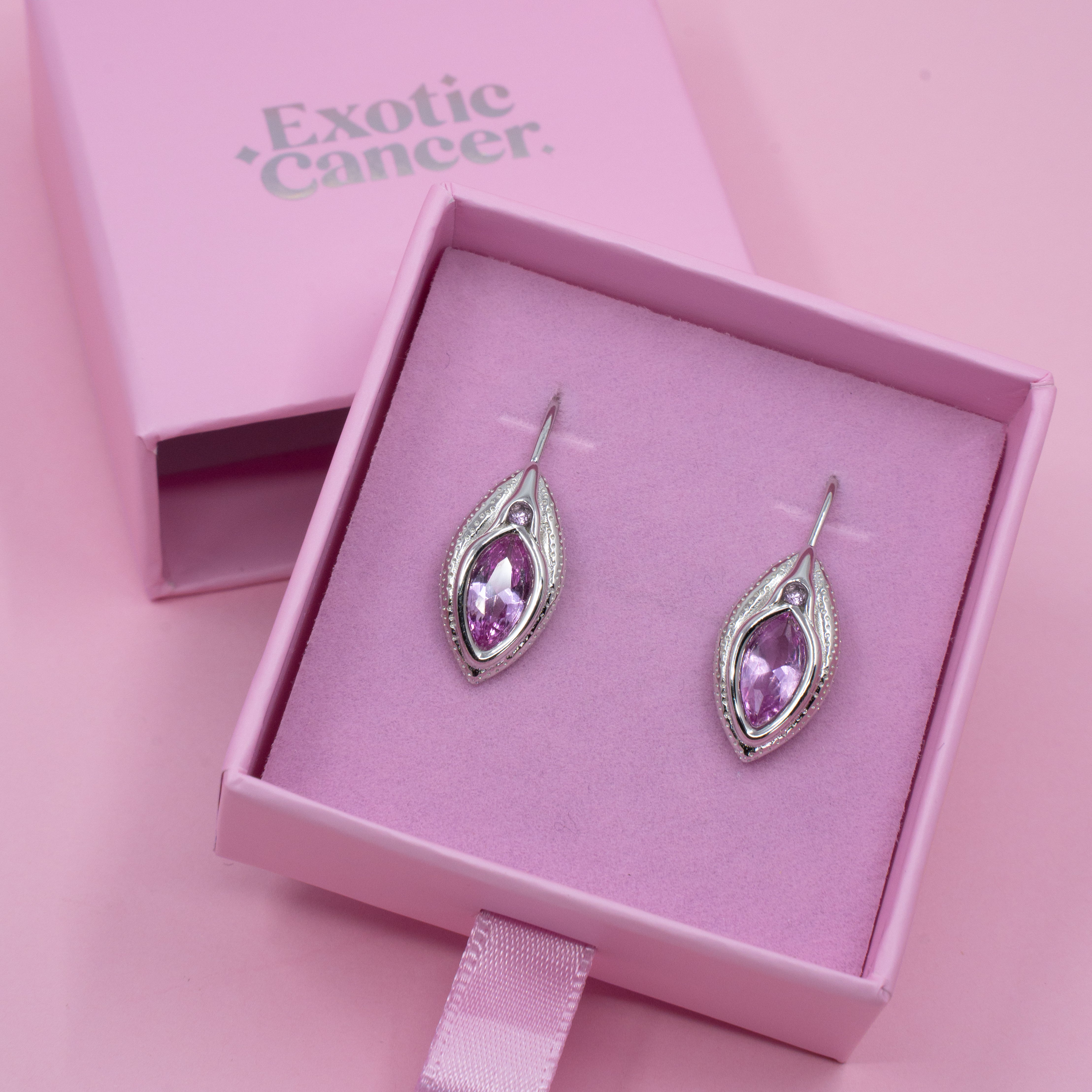 Life Portal Earrings