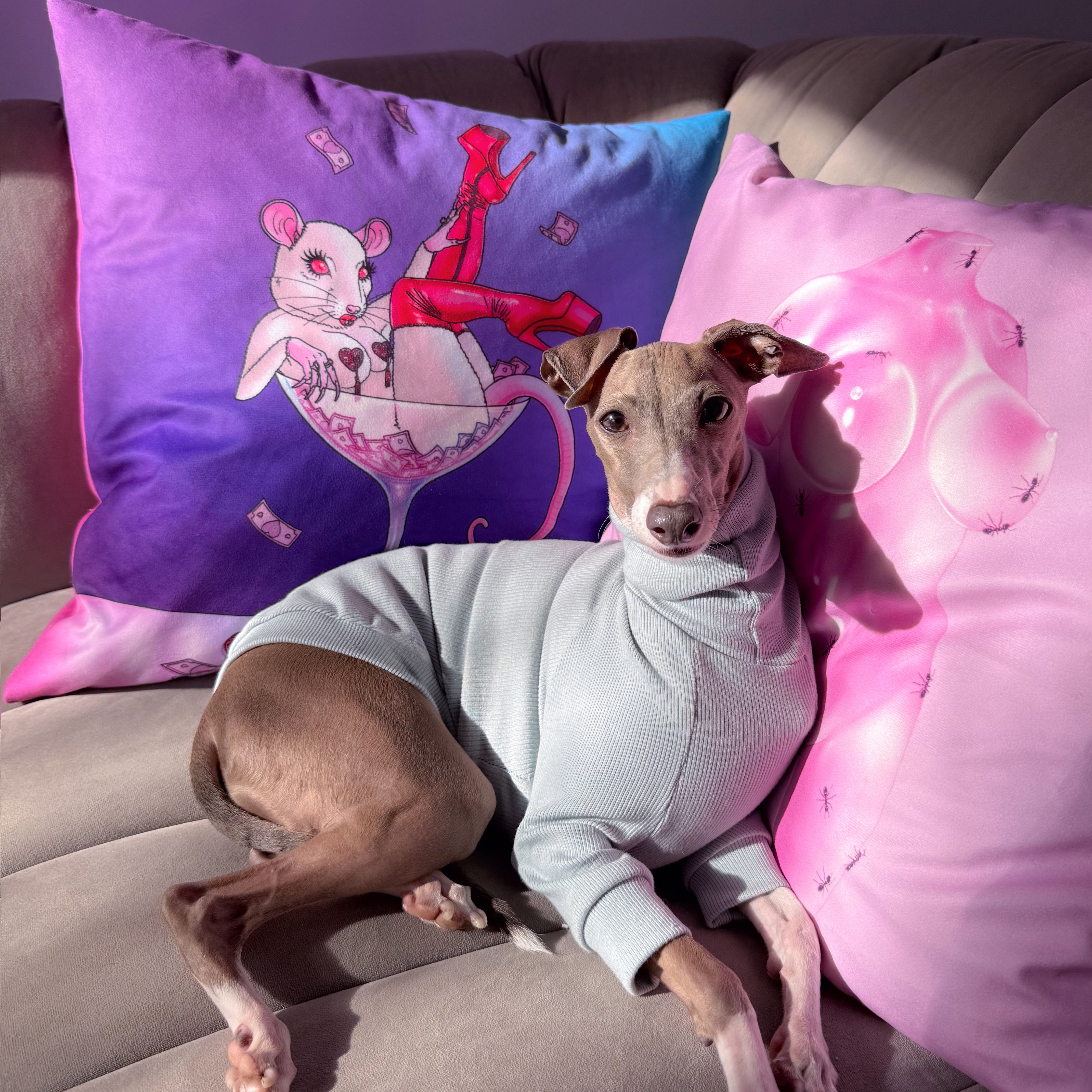 Rat Cushion Cover